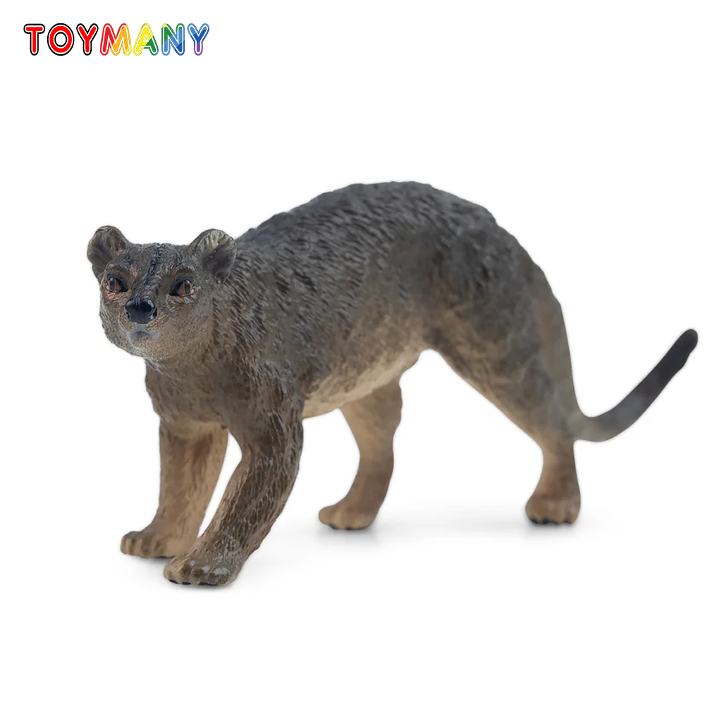 Toymany Simulasi Fossa Madagas - Kids Toys Under $5 ulasan dan harga