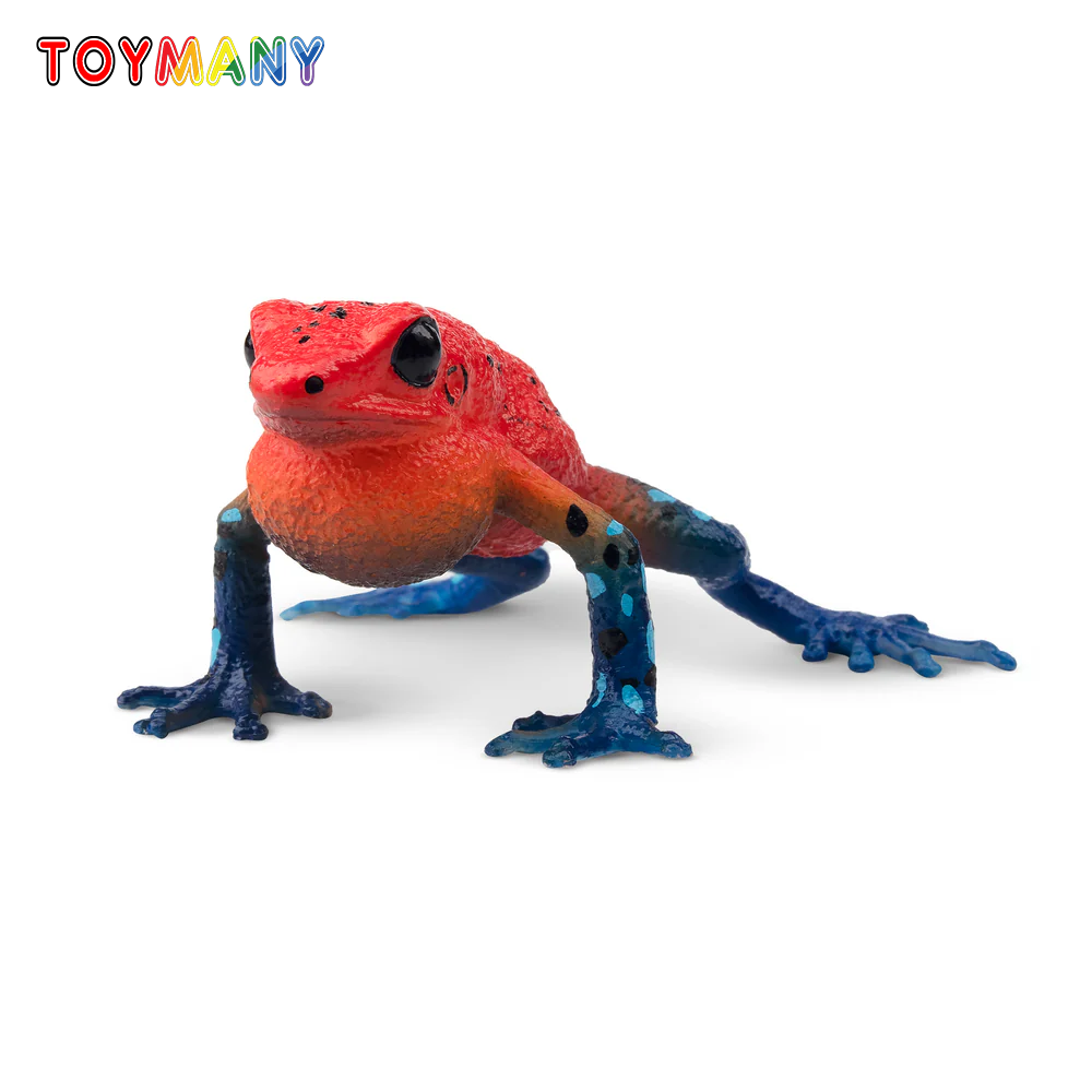 Mainan Simulasi Kodok Stroberi - Kids Toys Under $5 ulasan dan harga